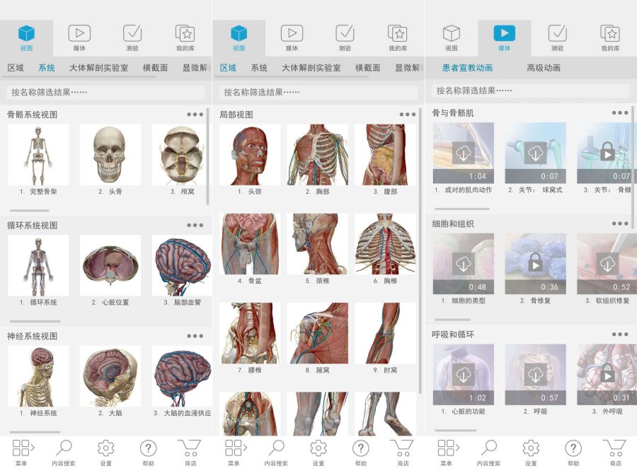 2024人体解剖学图谱！解锁付费高级版