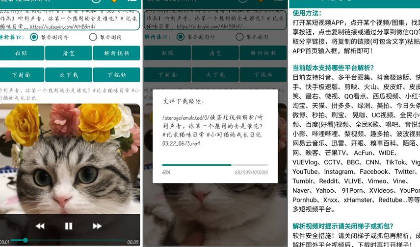 侠客短视频解析V3.7支持众多国内外视频图集无水印解析下载